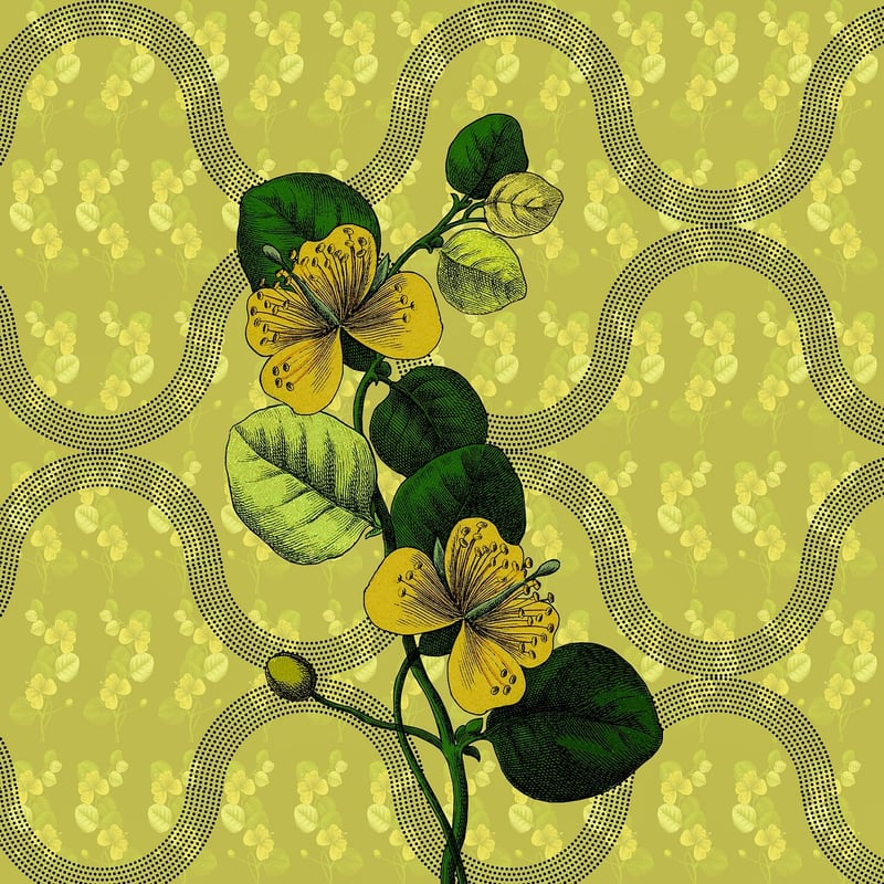 Botanical Prints